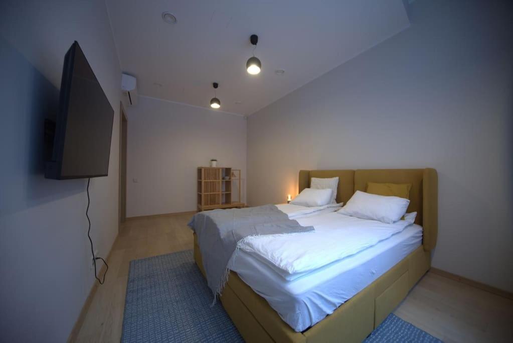 3 Bedroom Apartment In The Old/T リガ エクステリア 写真